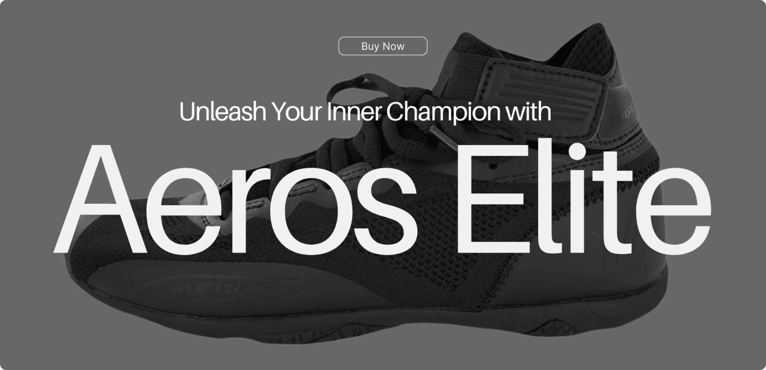 Aero Elite